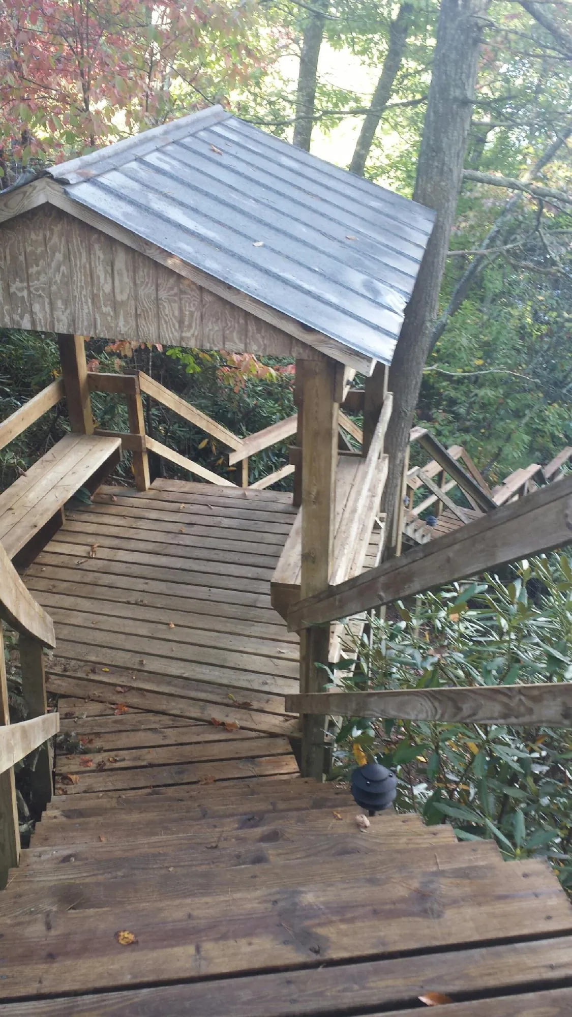 Metal roofed shelter over wooden steps on a wooded walkway in Vassar